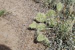 13_2008-0830-1557-28.jpg